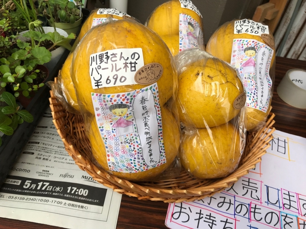 f:id:pukapuka-pan:20180415010521j:plain f:id:pukapuka-pan:20180415010521j:plain