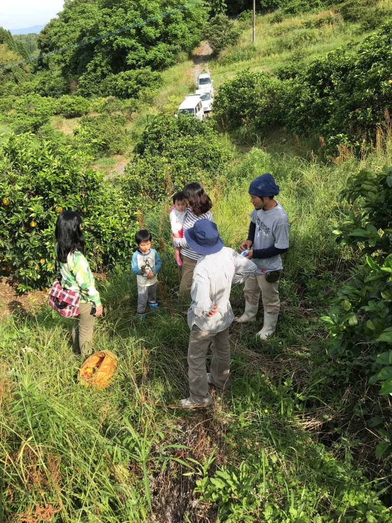 f:id:pukapuka-pan:20180521120509j:plain f:id:pukapuka-pan:20180521120509j:plain