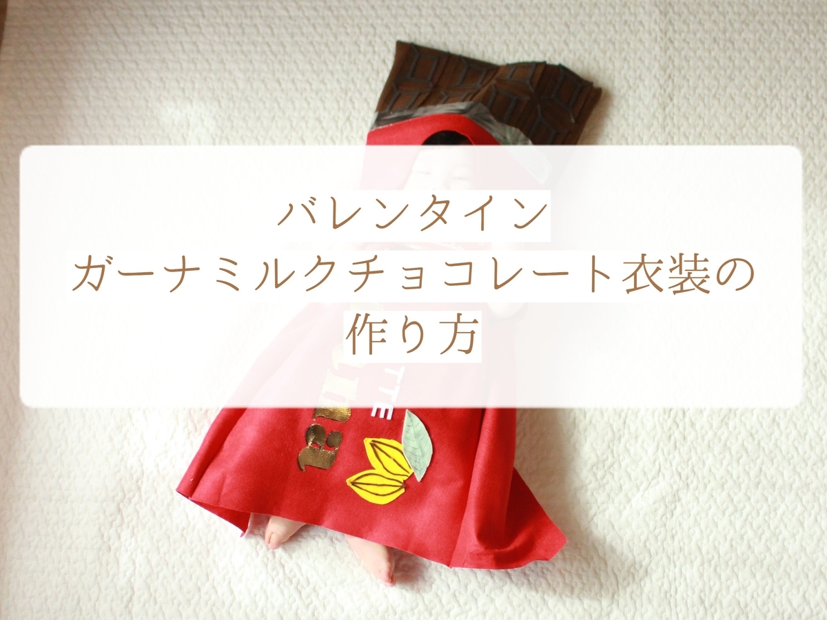 f:id:pukapukarakko:20210216215923j:plain