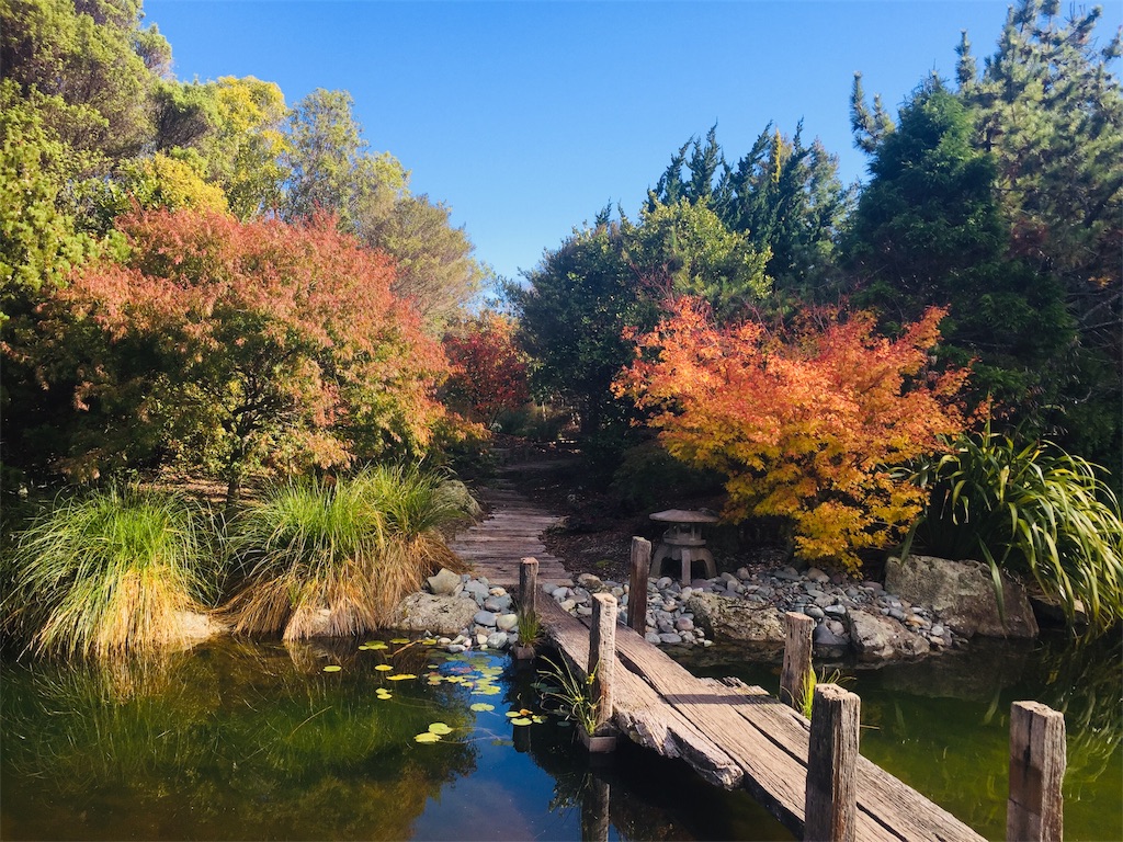 ニュージーランドで紅葉狩り 宮津日本庭園miyazu Japanese Garden プケコのニュージーランドトラベル