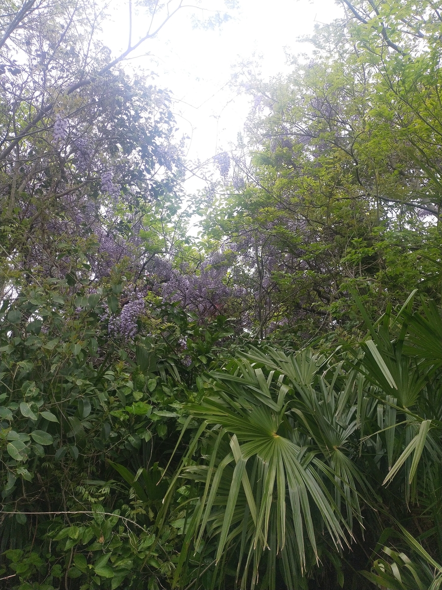 f:id:pukkachang:20210418053326j:plain