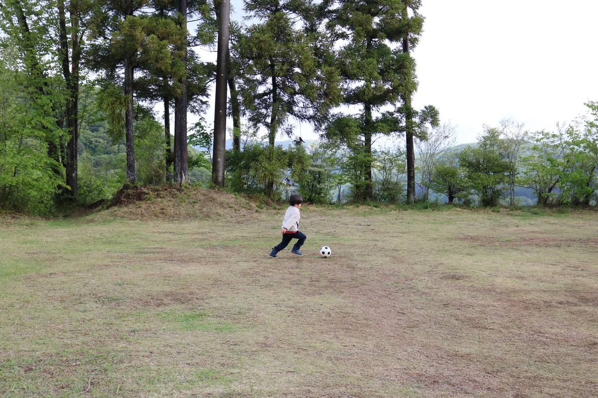 f:id:pukuchantrip:20190620134513j:plain f:id:pukuchantrip:20190620134513j:plain