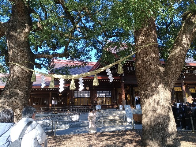 f:id:pukupan:20190113220847j:image f:id:pukupan:20190113220847j:image