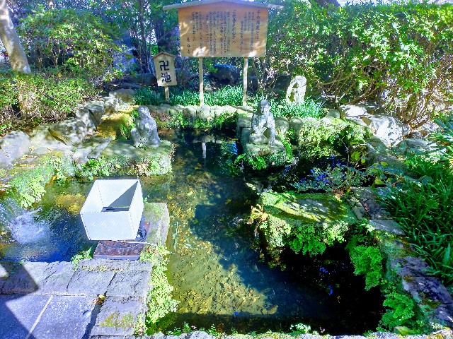 長谷寺へ - ふっくらほっぺブログNEXT