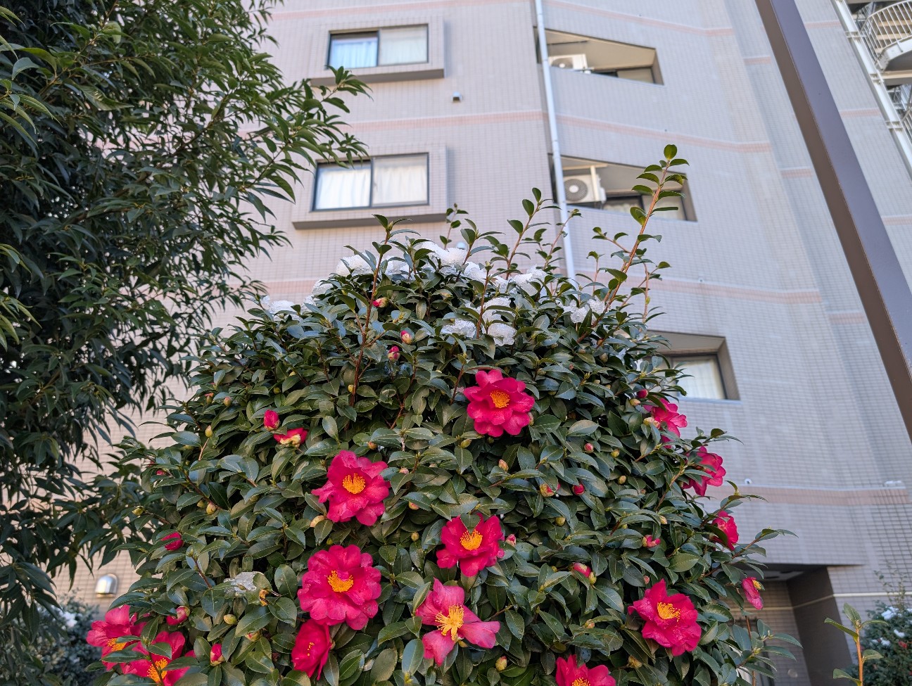 f:id:pukupan:20260103161916j:image