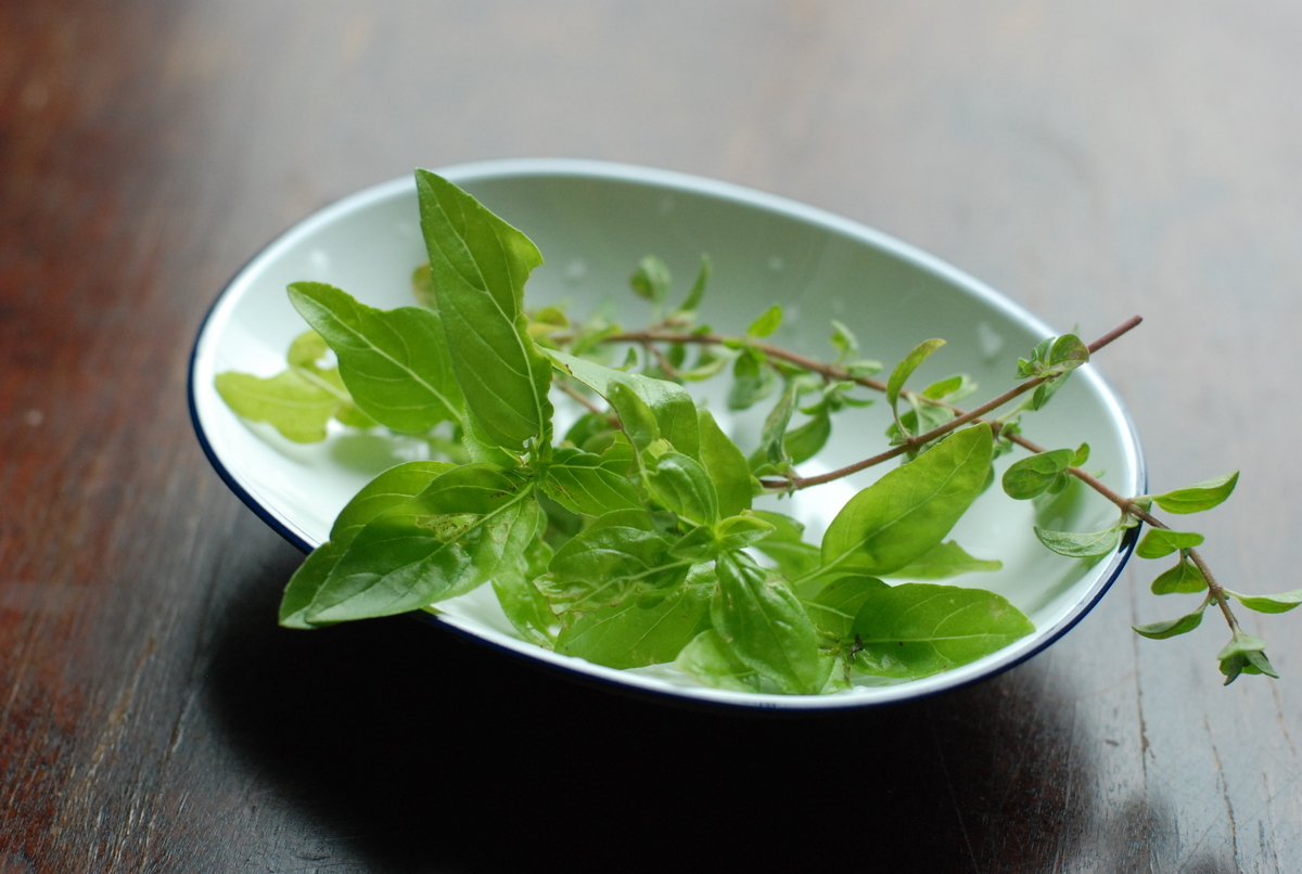 ガレット用バジルオレガノ