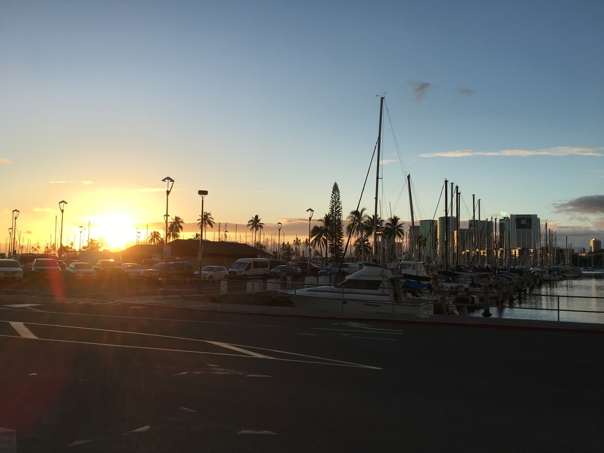 f:id:pukupuku25:20201110232551j:plain f:id:pukupuku25:20201110232551j:plain