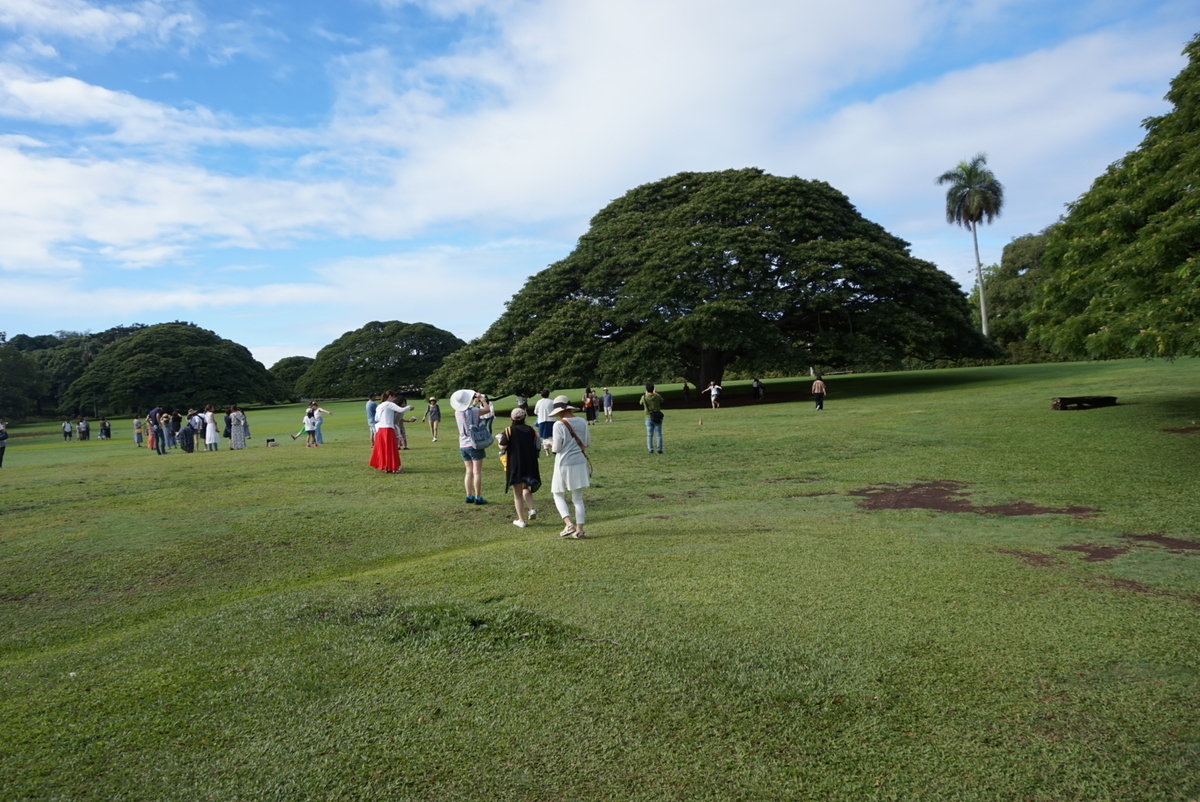 f:id:pukupuku25:20201110233421j:plain f:id:pukupuku25:20201110233421j:plain