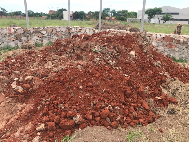 f:id:pukupukuch:20190226095202j:plain