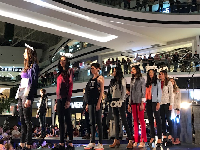 f:id:pukupukuch:20190312070554j:plain