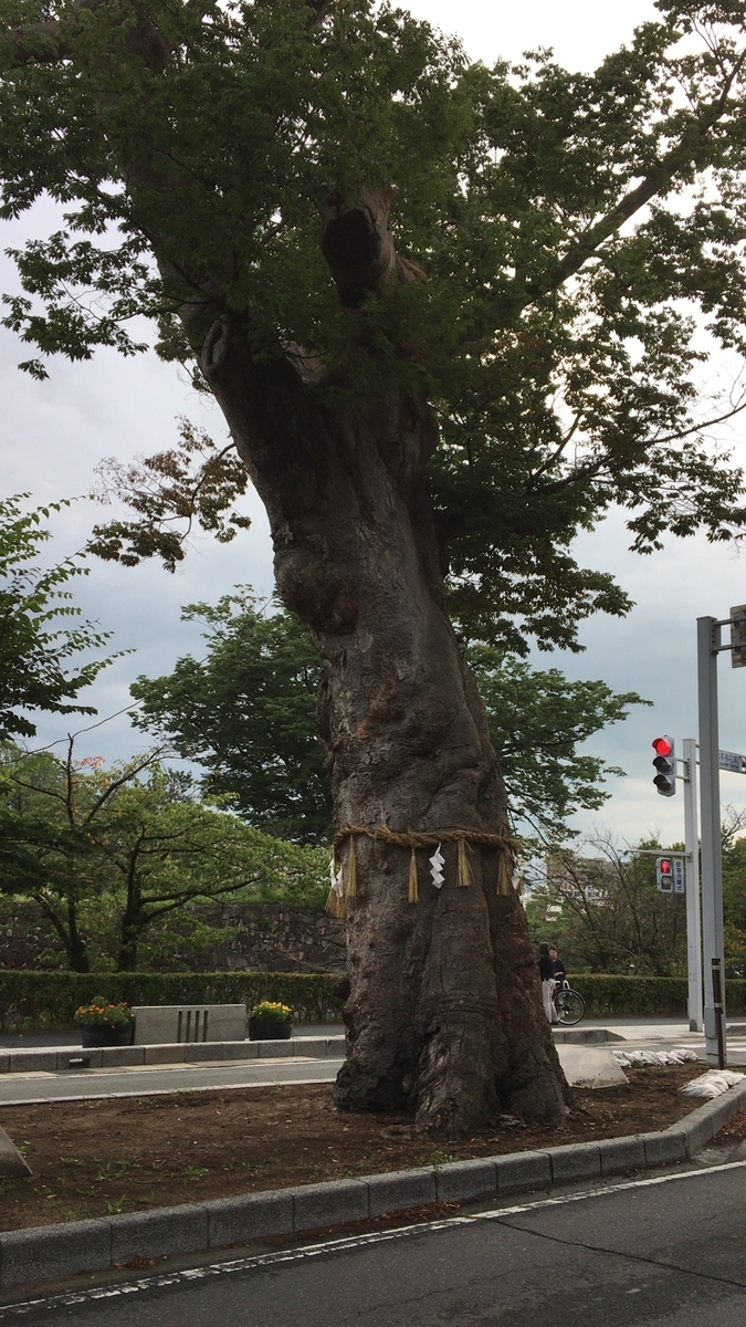 f:id:pulapulasan:20191217154802j:plain f:id:pulapulasan:20191217154802j:plain