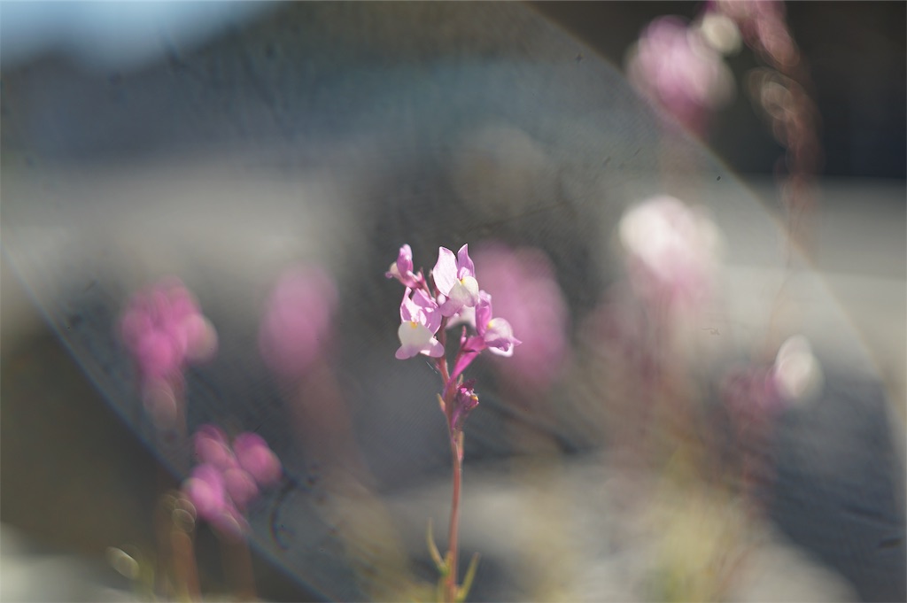 f:id:pulsar7:20190103110347j:plain f:id:pulsar7:20190103110347j:plain