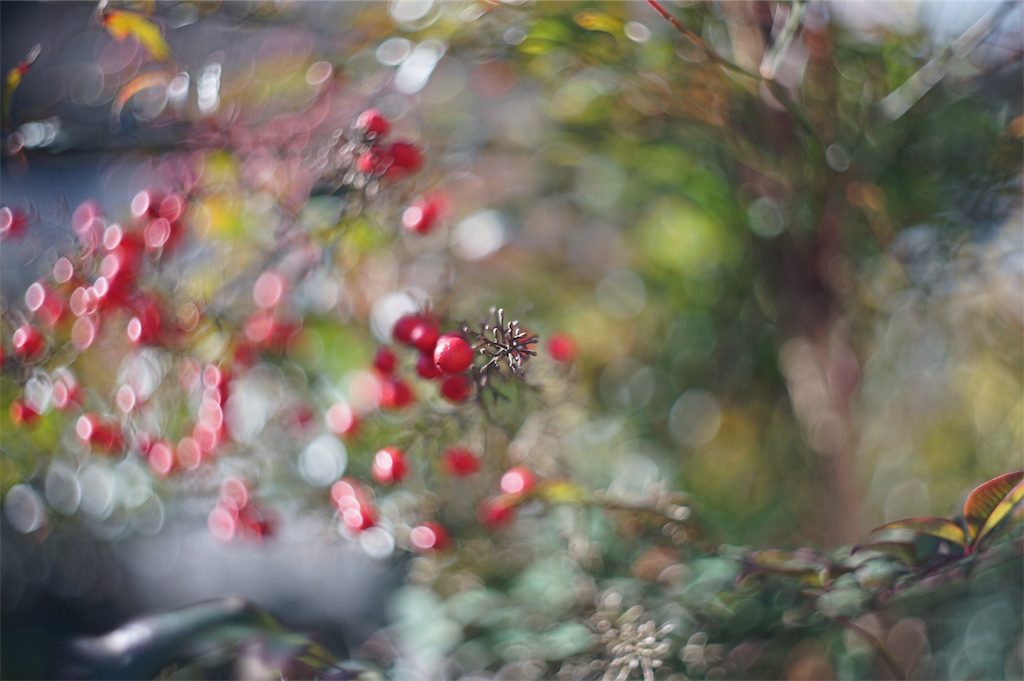 f:id:pulsar7:20190103110415j:plain f:id:pulsar7:20190103110415j:plain