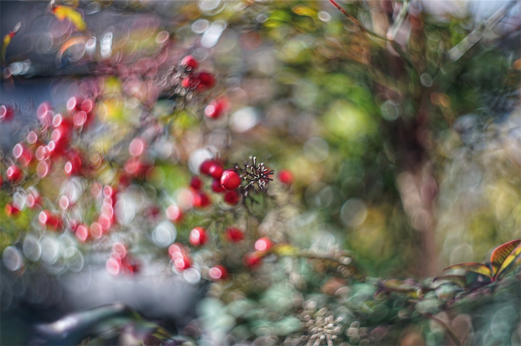f:id:pulsar7:20190106083758j:plain f:id:pulsar7:20190106083758j:plain