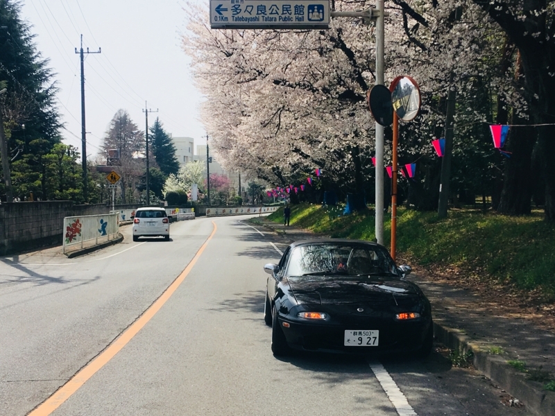 f:id:pulse_77:20180406134007j:plain f:id:pulse_77:20180406134007j:plain