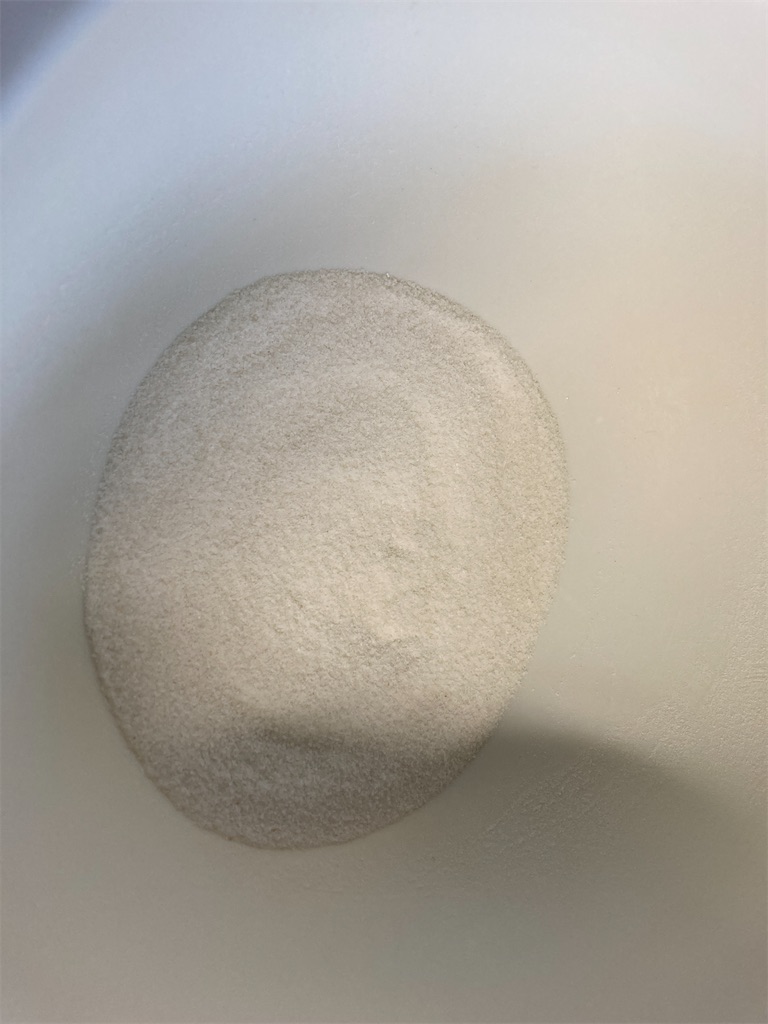 f:id:puma03:20231013145948j:image