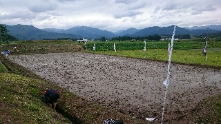 f:id:pumchan:20170610111613j:image f:id:pumchan:20170610111613j:image
