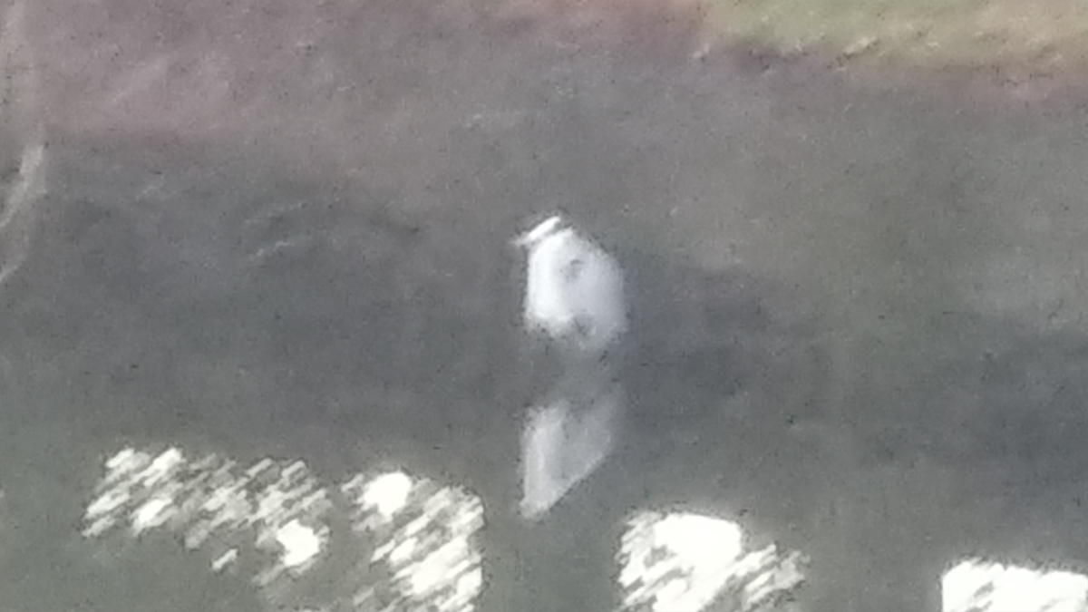 f:id:pumpkin3468:20220110065843j:plain