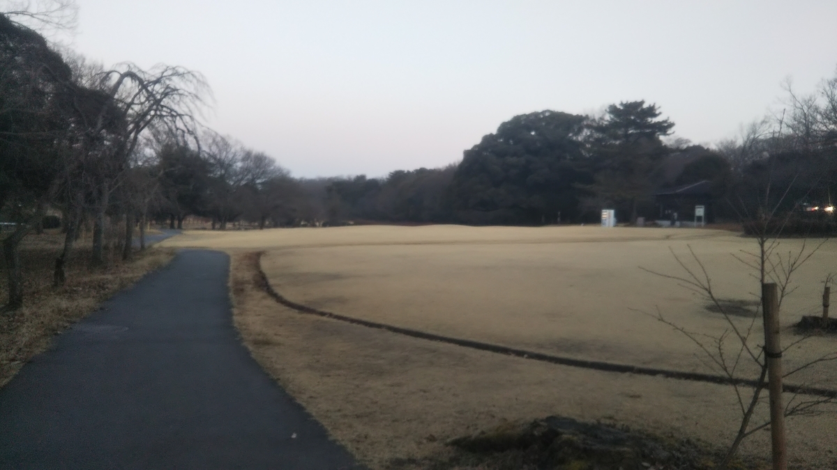 f:id:pumpkin3468:20220110065933j:plain