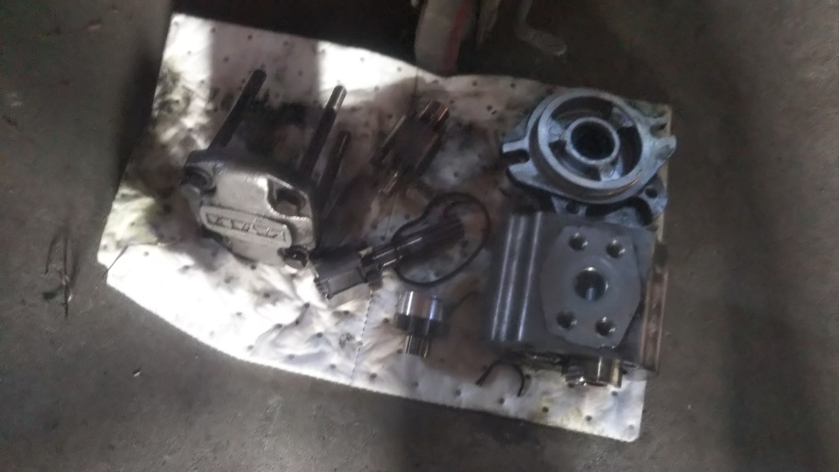 f:id:pumpkin3468:20220406172904j:plain