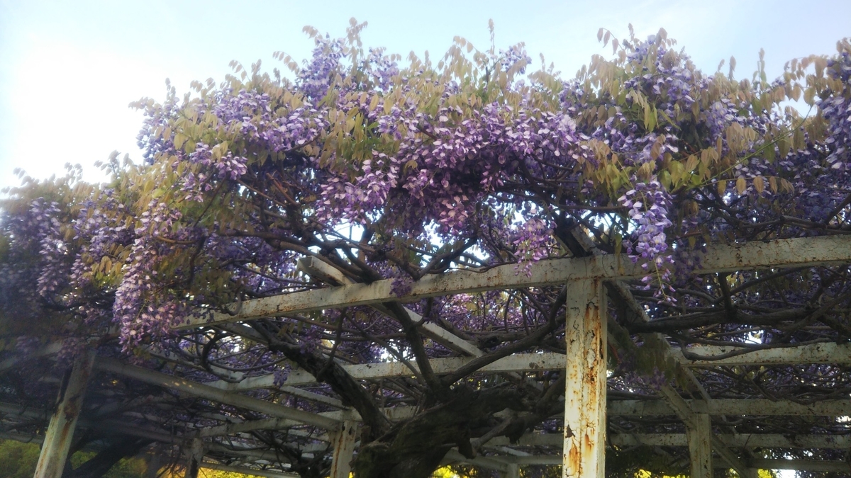 f:id:pumpkin3468:20220416091037j:plain