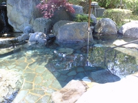 f:id:pun:20070429123100j:image