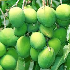 f:id:punbaa123a:20170501195947j:plain f:id:punbaa123a:20170501195947j:plain