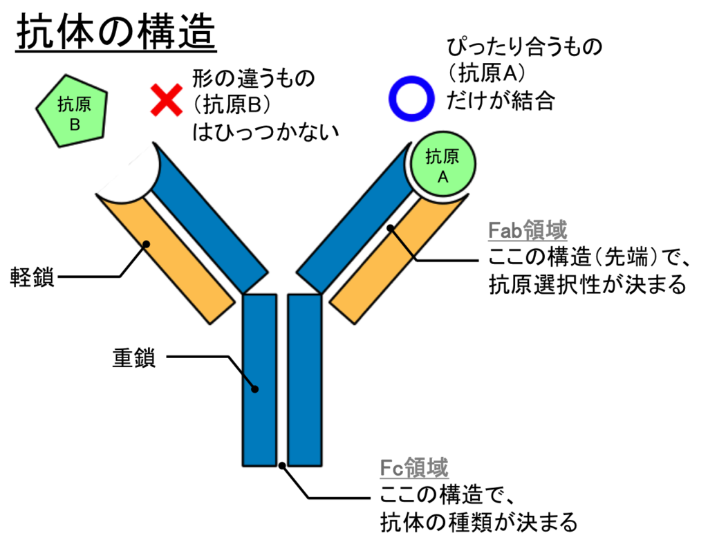 f:id:punipuniazarashi:20181018102215p:plain f:id:punipuniazarashi:20181018102215p:plain