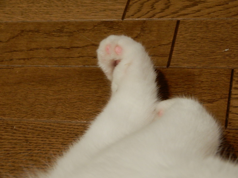 f:id:punkan:20180908194506j:plain f:id:punkan:20180908194506j:plain