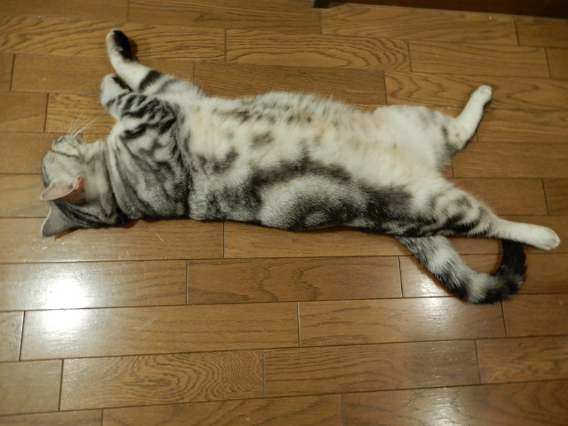 f:id:punkan:20180908195305j:plain f:id:punkan:20180908195305j:plain