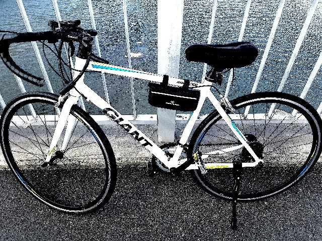 f:id:punkrockers:20171227124653j:image