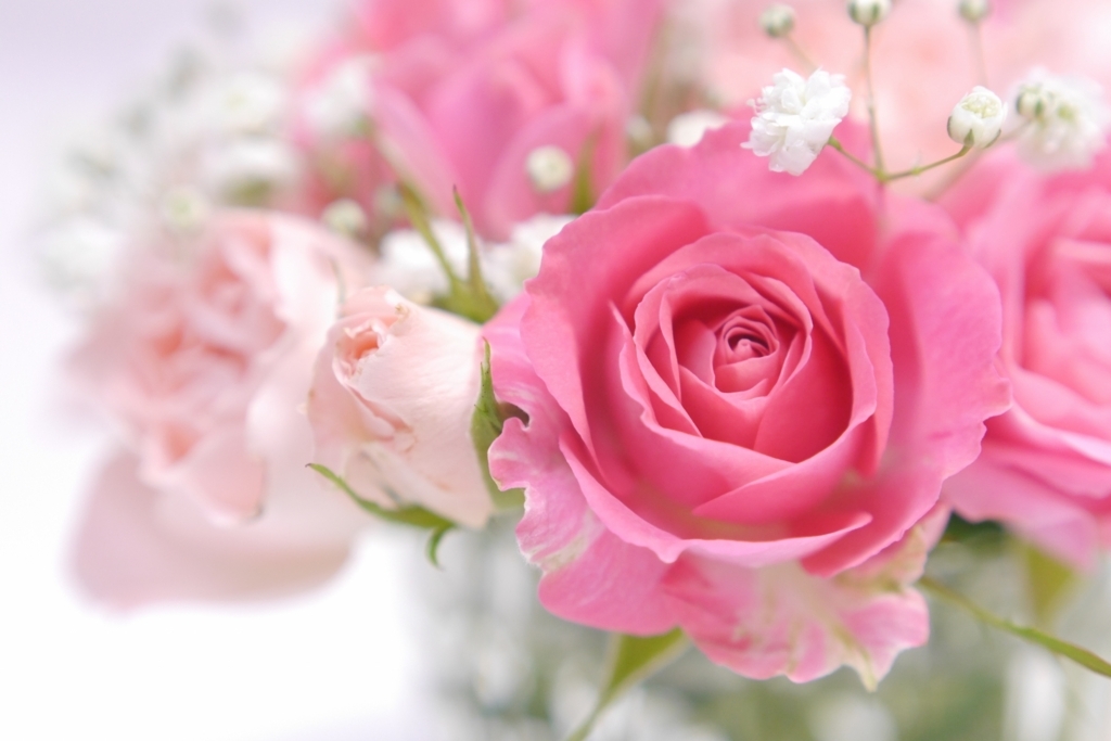 f:id:punkrockers:20180217120118j:plain f:id:punkrockers:20180217120118j:plain