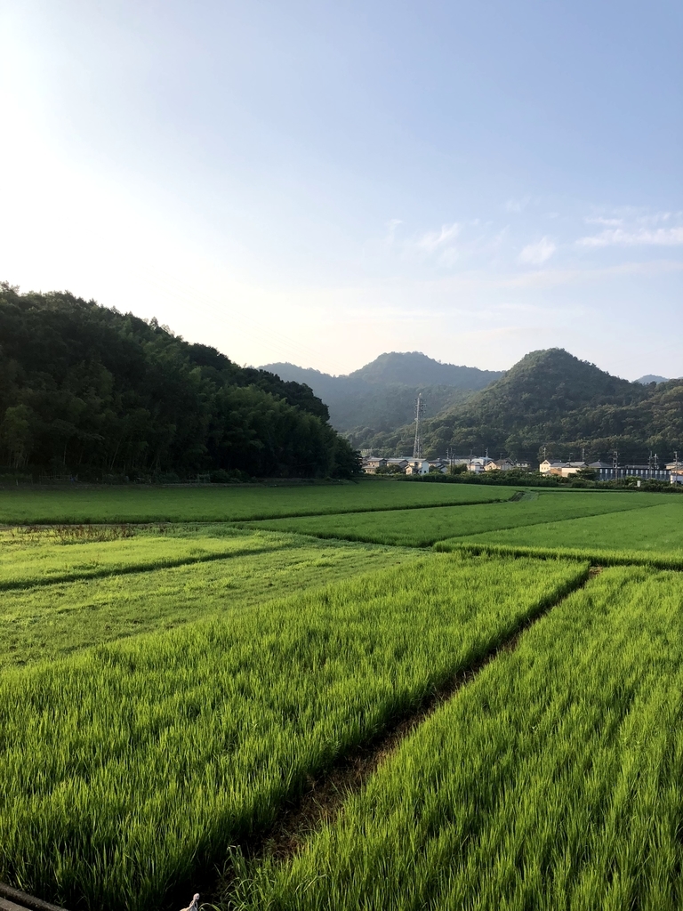 f:id:punponch:20180913221818j:plain