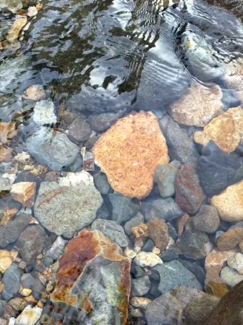 f:id:punpun117:20120727175404j:image:w360