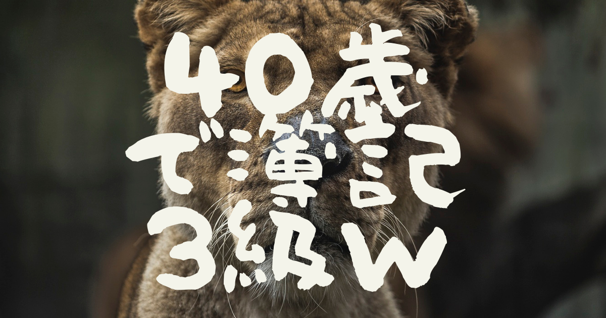 f:id:pupei:20200917081054p:plain f:id:pupei:20200917081054p:plain