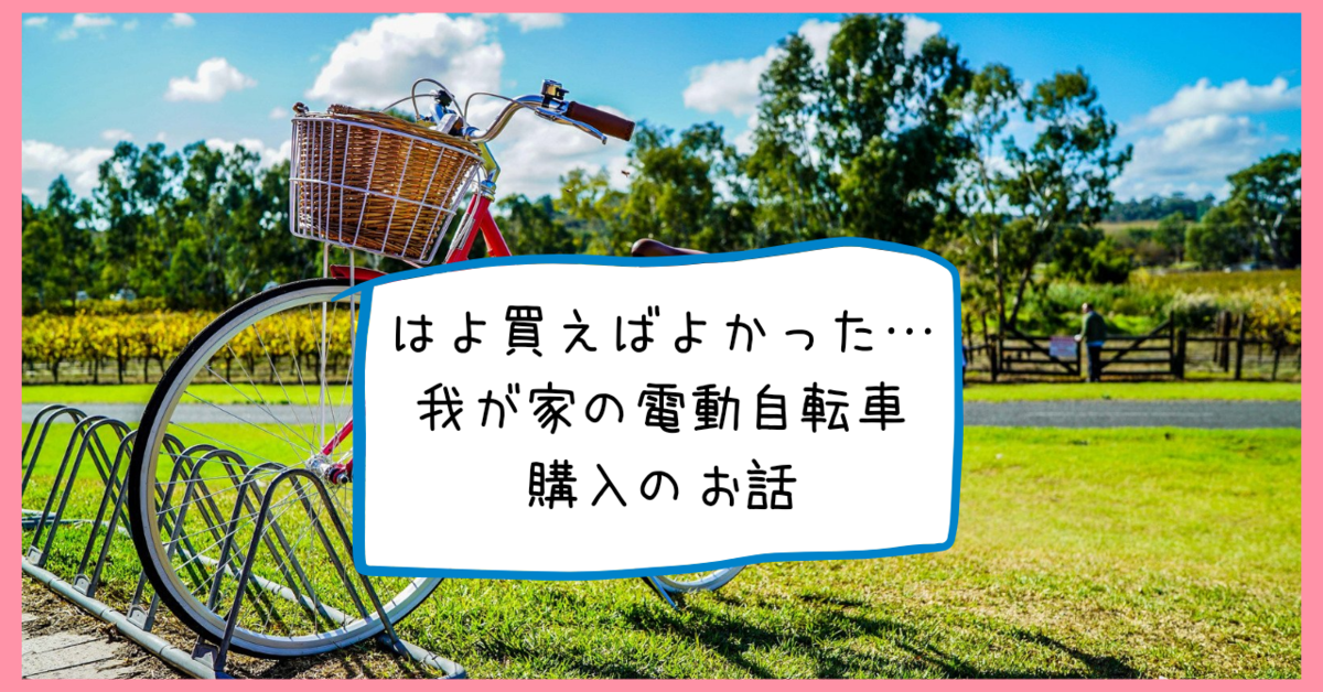 購入レポギュット・クルーム子ども乗せ電動自転車で年子