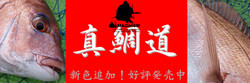 f:id:purari:20080602101244j:image