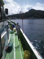 f:id:purari:20120904094105j:image