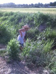 f:id:purari:20120917153728j:image f:id:purari:20120917153728j:image