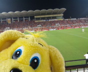 f:id:pure-ri-dog:20110813194535j:image