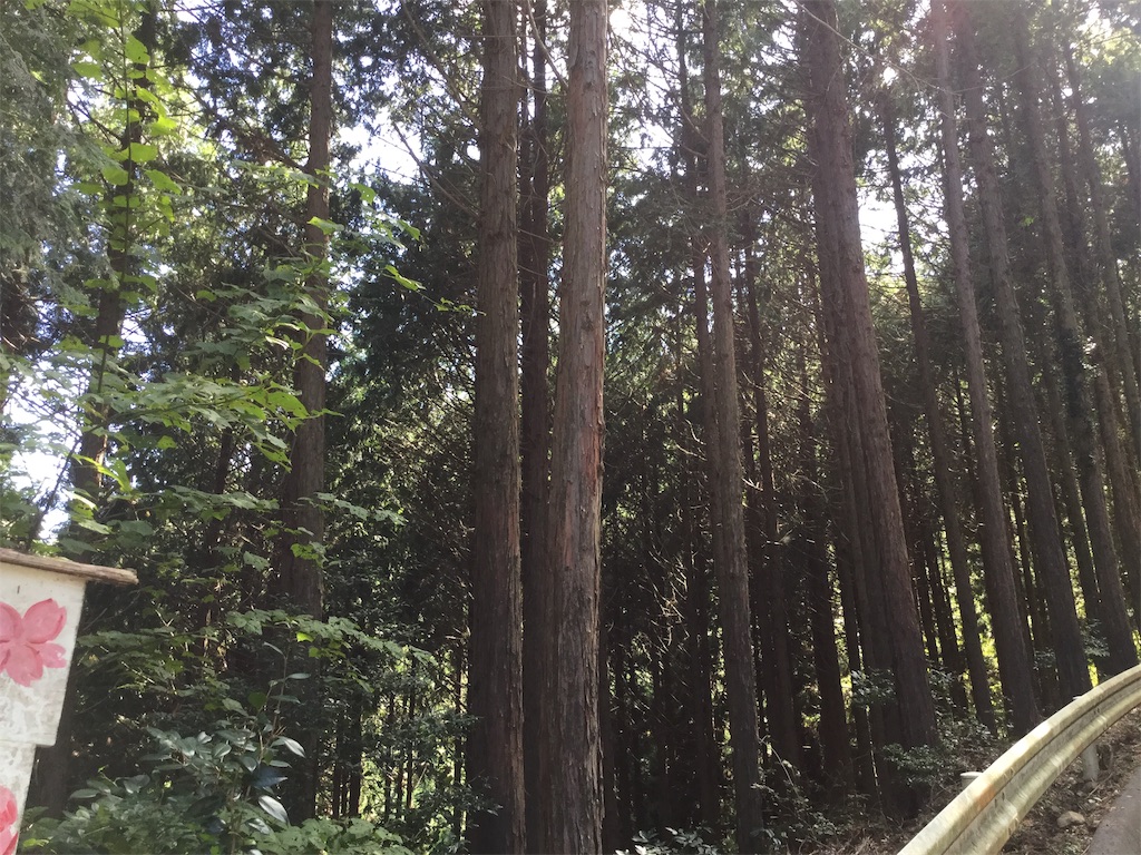 f:id:purelandwest:20181008195155j:image