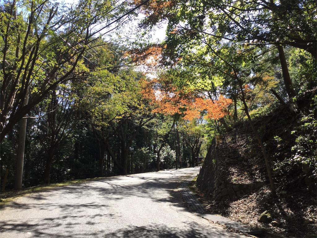 f:id:purelandwest:20181008195838j:image