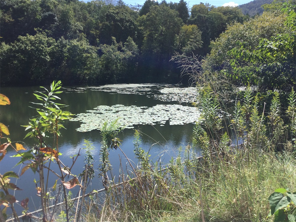 f:id:purelandwest:20181008195904j:image