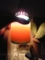 20090719233100