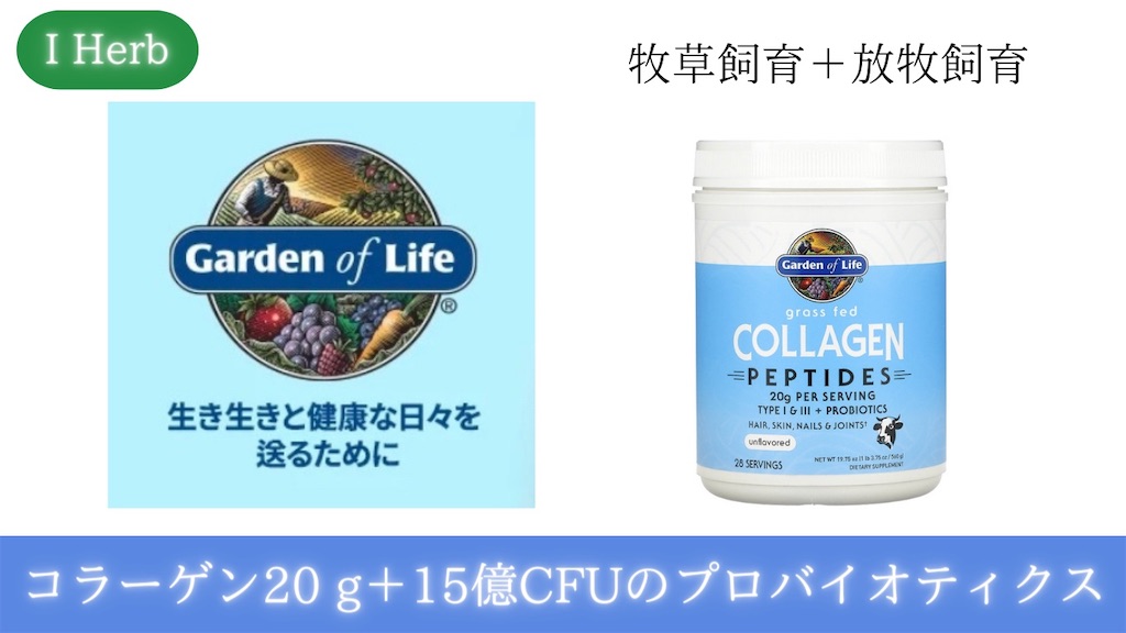 f:id:puresoullove:20250114221414j:image