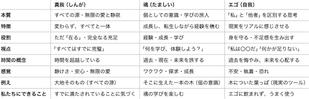 f:id:puresoullove:20250208113153j:image