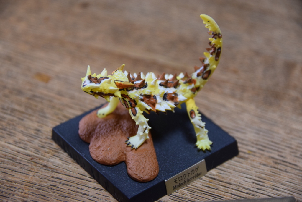 f:id:pureta:20170913153906j:plain f:id:pureta:20170913153906j:plain