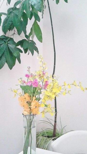 f:id:purete2010:20150105134435j:image f:id:purete2010:20150105134435j:image