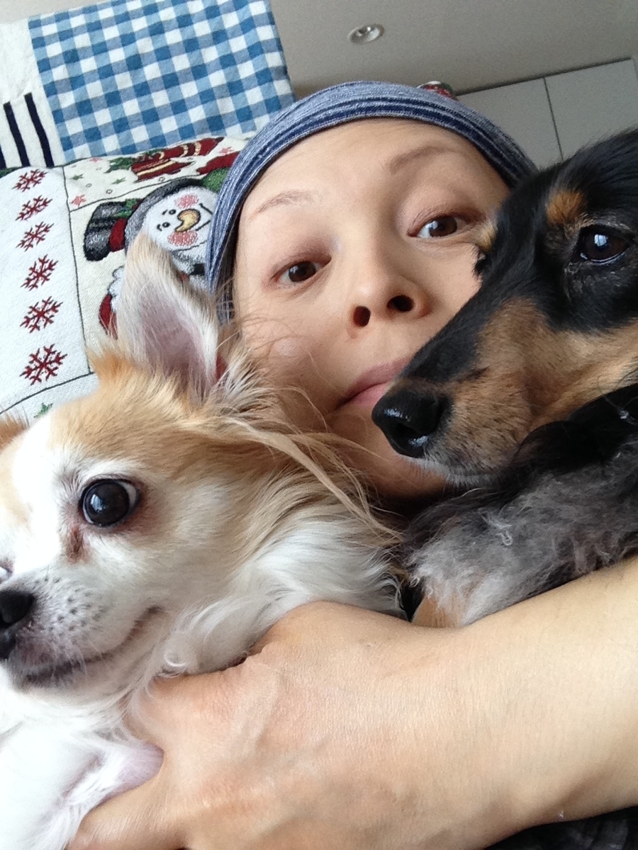 f:id:purikoko:20201114230401j:plain