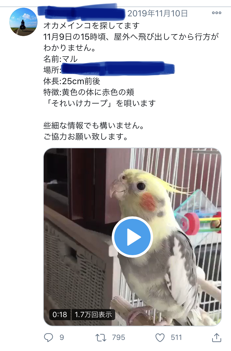 f:id:purikoko:20201129200946j:plain